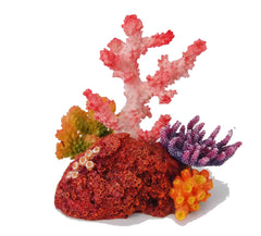 Aquatopia Pink Coral