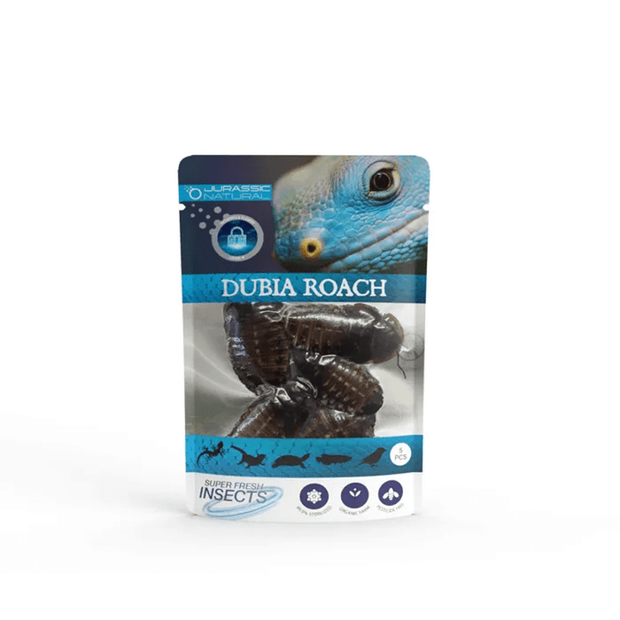 Jurassic Natural Super Fresh Insects Dubia Roach 5 Pieces