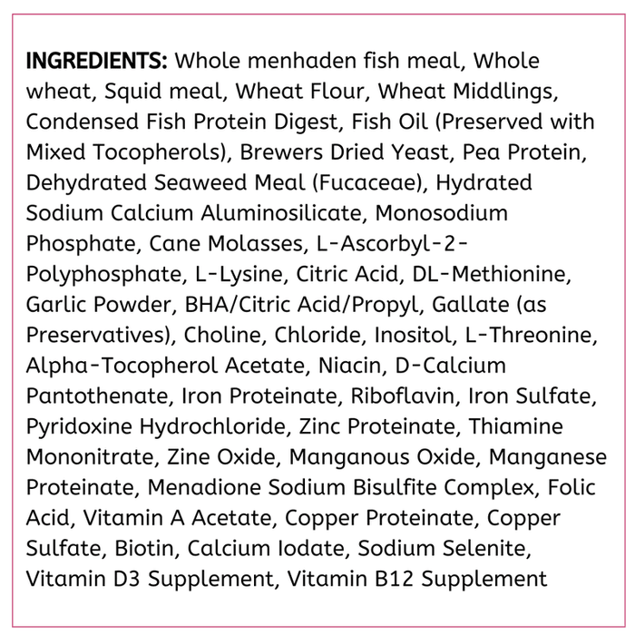 API Bottom Feeder Pellets with Squid - Aquatic Supplies Australia