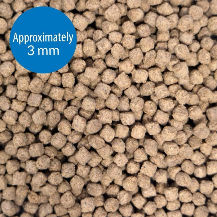 API Bottom Feeder Pellets with Squid - Aquatic Supplies Australia
