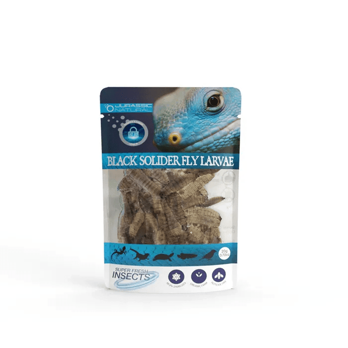 Jurassic Natural Super Fresh Insects Black Soldier Fly Larvae 20g - Aquatic Supplies Australia