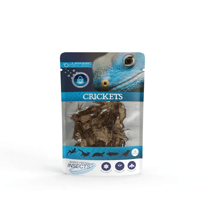 Jurassic Natural Super Fresh Insects Crickets 6g/15 Pieces - Aquatic Supplies Australia