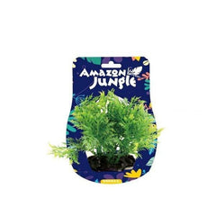 Amazon Jungle Wisteria Bunch Display 10-12cm Aquatic Supplies Australia