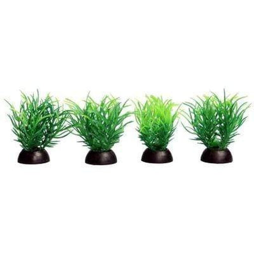 Aqua One Ecoscape Foreground Green Ricca 4 Pack - Aquatic Supplies Australia