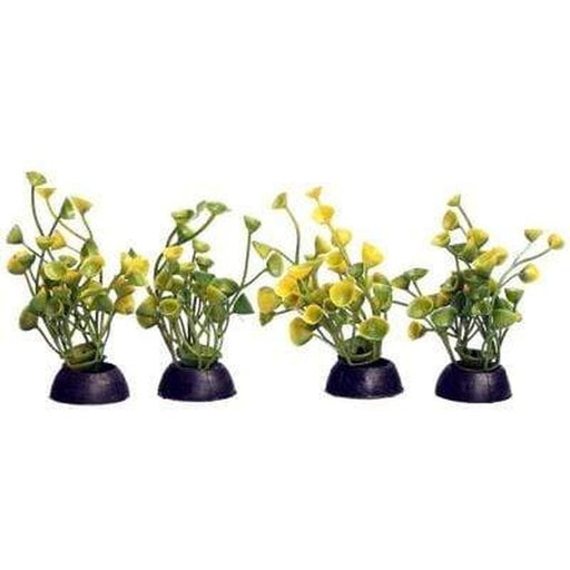 Aqua One Ecoscape Foreground Yellow Ogris Auribus 8cm 4 Pack - Aquatic Supplies Australia