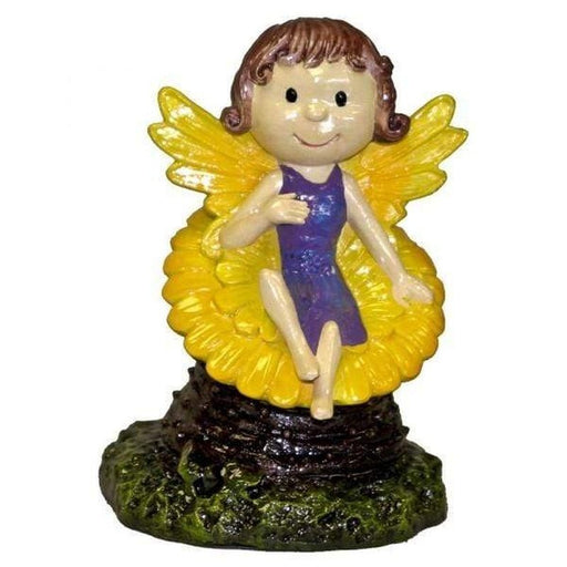 Blue Ribbon Pixie on Flower 7cm - Aquatic Supplies Australia