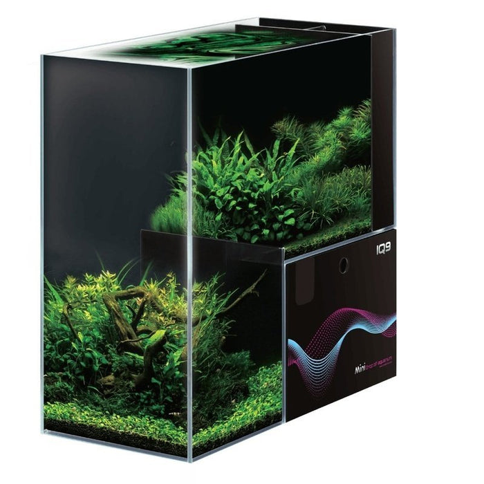 Dymax IQ9 Mini Drop Off Aquarium 48L Freshwater - Aquatic Supplies Australia