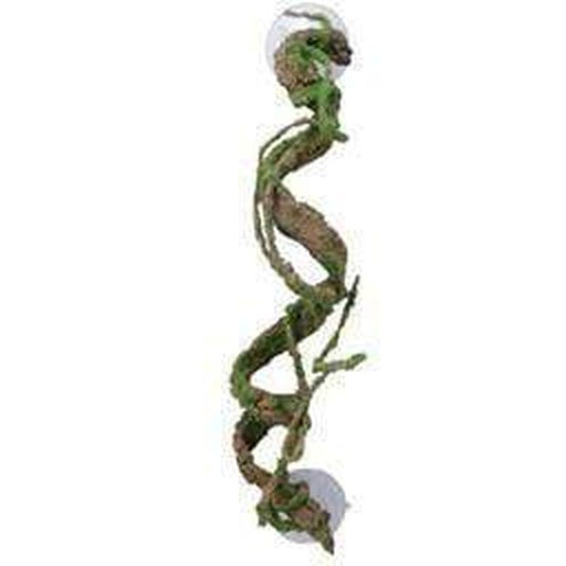 Eco Tech Corkscrew Vine with Moss 40cm - Aquatic Supplies Australia