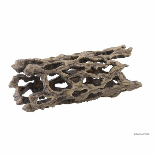 Exo Terra Cholla Cactus Skeleton - Aquatic Supplies Australia