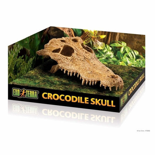 Exo Terra Crocodile Skull Hiding Place - Aquatic Supplies Australia