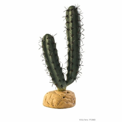 Exo Terra Desert Ground Plant Finger Cactus 20cm - Aquatic Supplies Australia