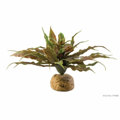 Exo Terra Desert Ground Plant Star Cactus - Aquatic Supplies Australia