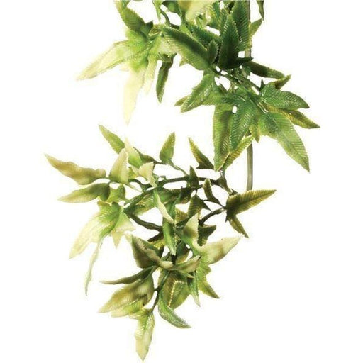 Exo Terra Hanging Forest Plants Croton - Aquatic Supplies Australia