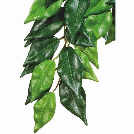 Exo Terra Hanging Forest Plants Ficus (silk) - Aquatic Supplies Australia