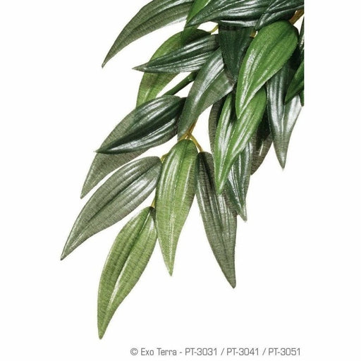 Exo Terra Hanging Forest Plants Ruscus (Silk) - Aquatic Supplies Australia