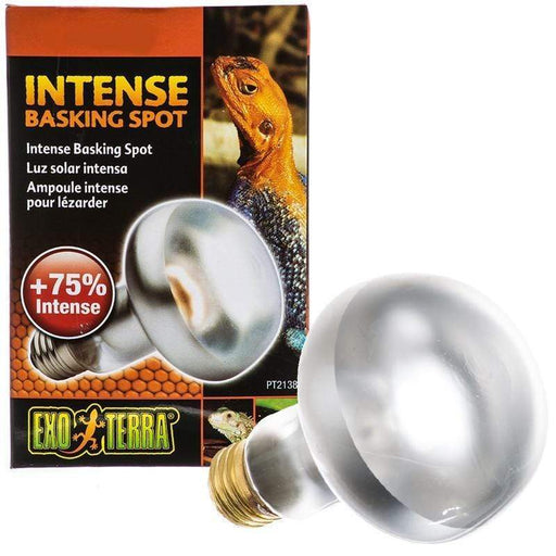 Exo Terra Intense Basking Spot - Aquatic Supplies Australia