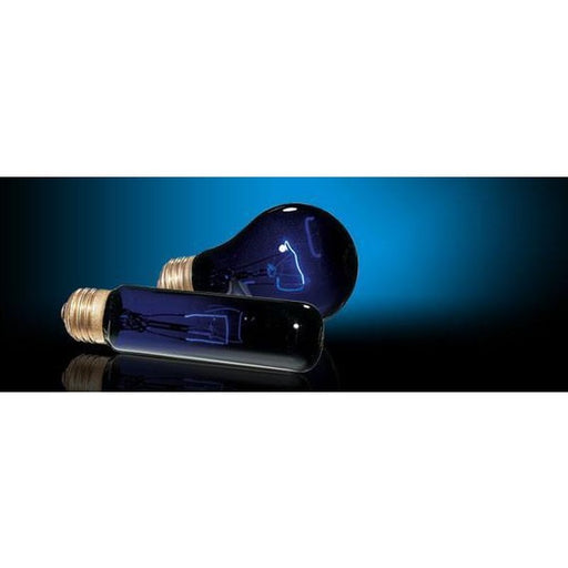 Exo Terra Night Heat Lamp - Aquatic Supplies Australia