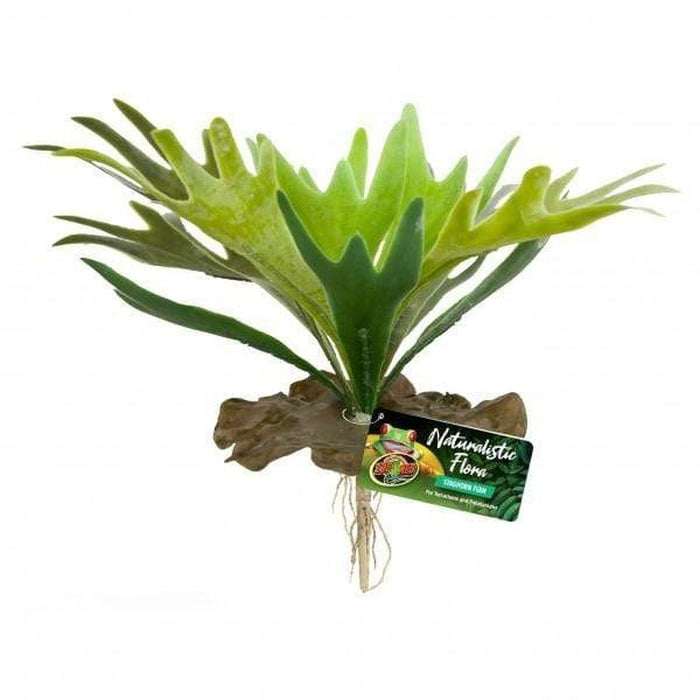 Zoo Med Staghorn Fern Aquatic Supplies Australia