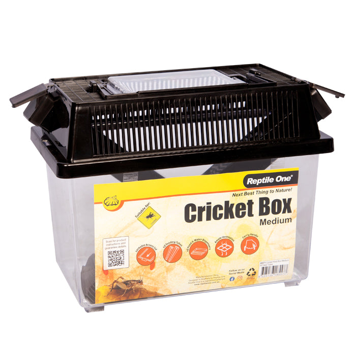 Reptile One Cricket Holding Box