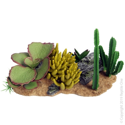 Reptile One Succulent Garden with Resin Base 30 x 16.5 x 17.5cm