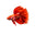 Aquatic Supplies Australia: Online Aquarium & Reptile Store logo