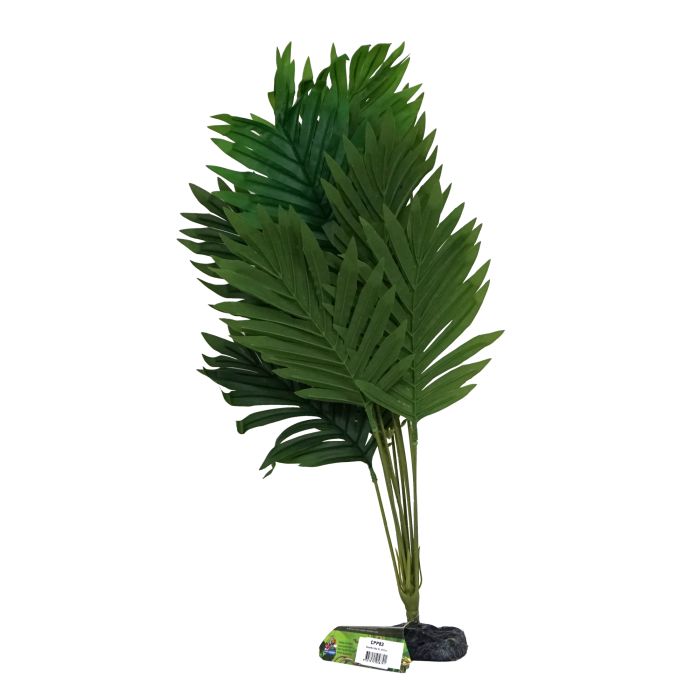 Amazon Jungle Butterfly Palm XL 45 - 50cm - Aquatic Supplies Australia
