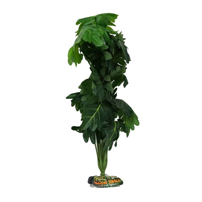 Amazon Jungle Philo Bush XL 45-50cm - Aquatic Supplies Australia