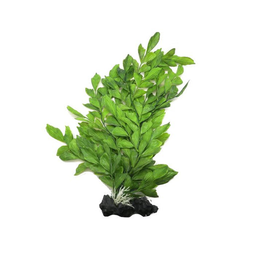 Amazon Jungle Upright Fern XL 35cm - Aquatic Supplies Australia