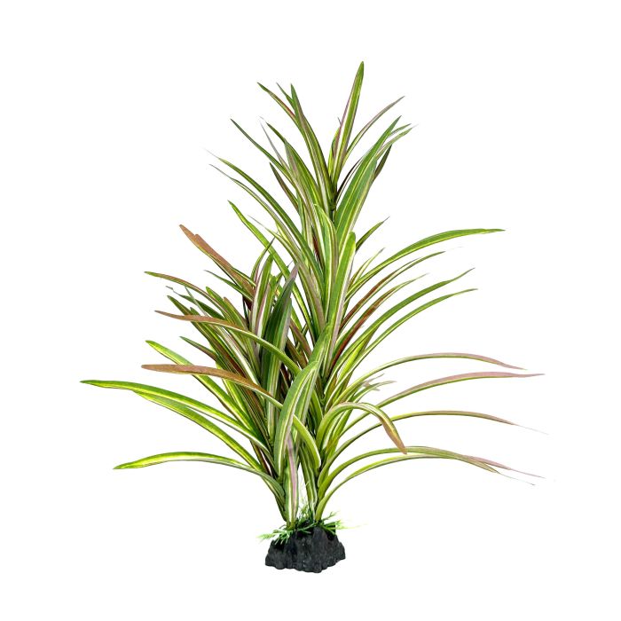 Amazon Jungle Upright Spinifex XL 42cm - Aquatic Supplies Australia