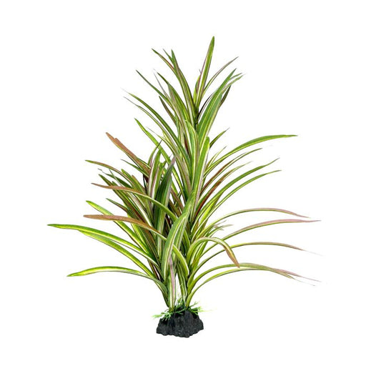 Amazon Jungle Upright Spinifex XL 42cm - Aquatic Supplies Australia