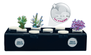 Aqua Media Frag Board Magentic - Aquatic Supplies Australia