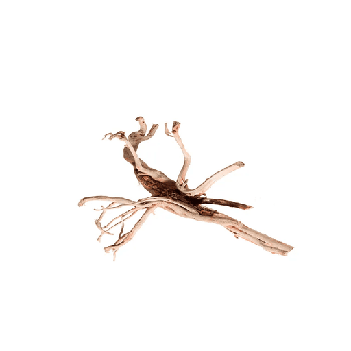 Aqua Natural Red Moore Wood - Aquatic Supplies Australia
