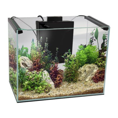 Aqua One AquaLume 23 Glass Aquarium 23L (23L 40L X 25D X 26CM H) - Aquatic Supplies Australia