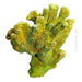 Aqua One Copi Coral Isopora 27 x 15.3 x 27.3cm - Aquatic Supplies Australia