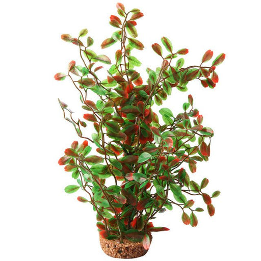 Aqua One Ecoscape Large Calidum ET Folius Green - Aquatic Supplies Australia