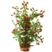Aqua One Ecoscape Large Calidum ET Folius Green - Aquatic Supplies Australia