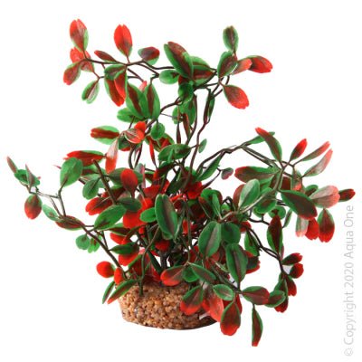Aqua One Ecoscape Medium Calidum ET Folius Green - Aquatic Supplies Australia