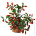 Aqua One Ecoscape Medium Calidum ET Folius Green - Aquatic Supplies Australia