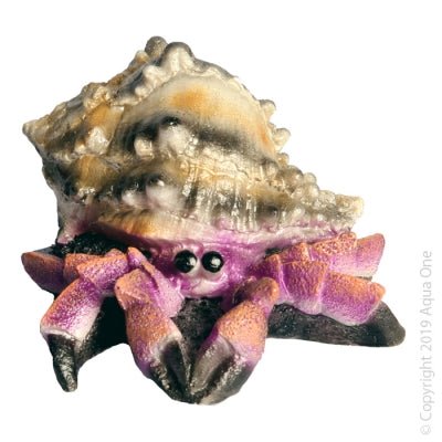Aqua One Giant Hermit Crab 12 x 13 x 7.5cm - Aquatic Supplies Australia