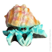 Aqua One Giant Hermit Crab 12 x 13 x 7.5cm - Aquatic Supplies Australia