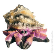 Aqua One Giant Hermit Crab 12 x 13 x 7.5cm - Aquatic Supplies Australia
