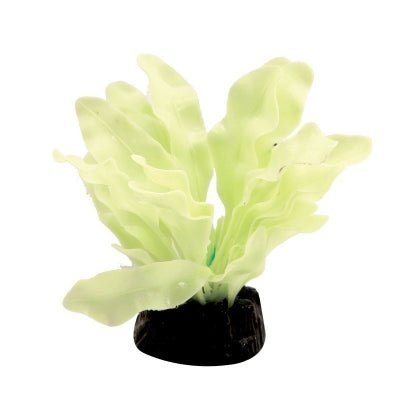 Aqua One Glow In The Dark Sword Plant 5cm - Aquatic Supplies Australia