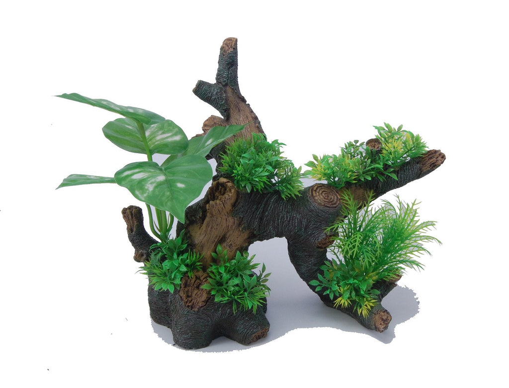Aquatopia Bonsai Tree with Plants