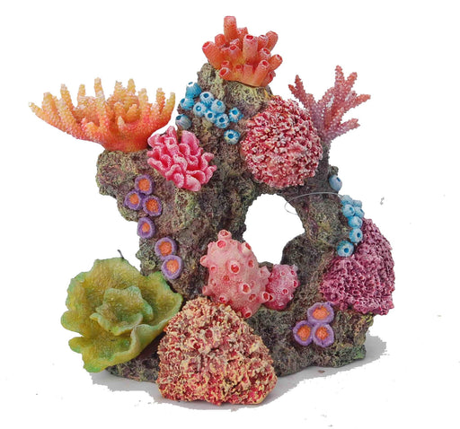 Aquatopia Multicolour Coral - Aquatic Supplies Australia