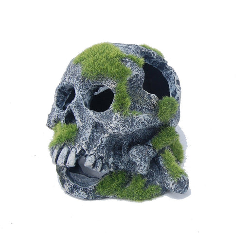 Aquatopia Skull with Moss - Aquatic Supplies Australia