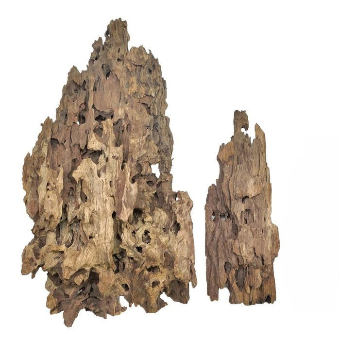 Bioscape Dragon Driftwood - Aquatic Supplies Australia