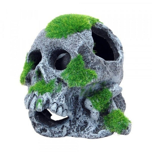 Bioscape Moss Covered Skull 12 x 13cm - Aquatic Supplies Australia