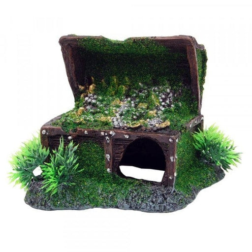 Bioscape Moss Treasure Chest 16 x 14cm - Aquatic Supplies Australia
