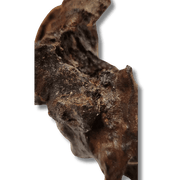 Coral Wood Small - 10-15cm - Aquatic Supplies Australia