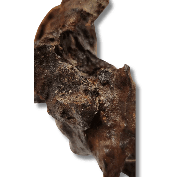 Coral Wood Small - 10-15cm - Aquatic Supplies Australia